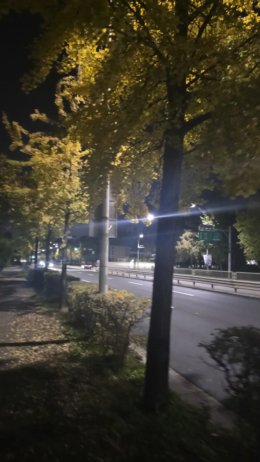 와이프가 운동한다고 자꾸 헬스장에 가요 이용후기 사진